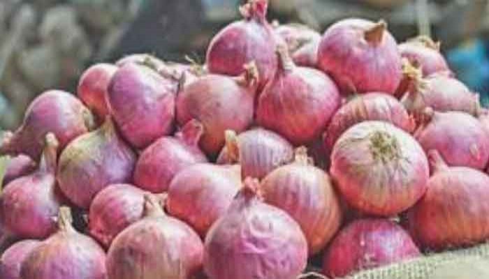 ভারত ছাড়া আরও ৯ দেশ থেকে পেঁয়াজ আমদানির অনুমতি