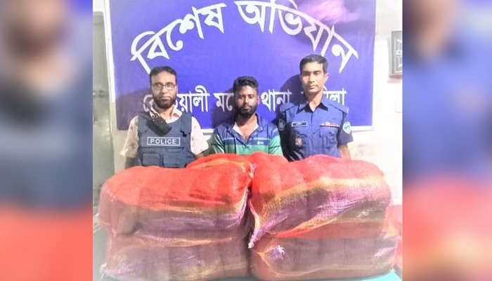 কুমিল্লায় ৮২ কেজি গাঁজাসহ মাদক ব্যবসায়ী গ্রেফতার