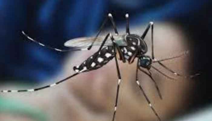 সারাদেশে ডেঙ্গুতে আরও ১৪ জনের মৃত্যু