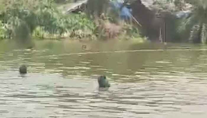 সাপাহারে চাষকৃত পুকুর থেকে প্রায় ৬ লক্ষ টাকার মাছ নিধনের অভিযোগ