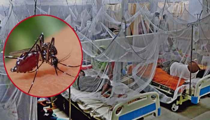 ডেঙ্গুতে আরও ৭ মৃত্যু