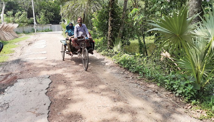 ২১ বছর সংস্কার হয়নি সড়ক, দুর্ভোগ