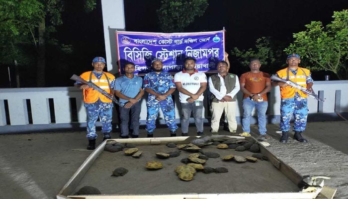 ৬২ কচ্ছপ জব্দ করেছে কোস্ট গার্ড