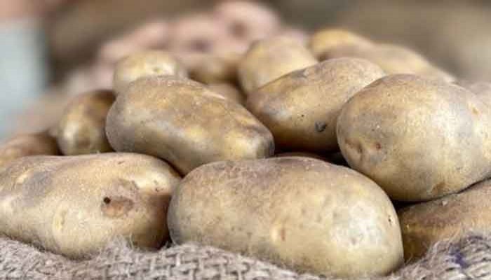 বিদেশ থেকে আলু আমদানি করতে চায় ১৫ প্রতিষ্ঠান