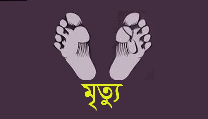 সিরাজগঞ্জে বড় ভাইয়ের মৃত্যুর খবর শুনে ছোট ভাইয়ের মৃত্যু