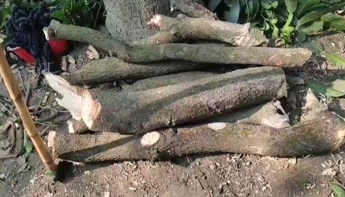 সাংবাদিকদের জমি দখল নিতে ভূমি দস্যুদের দফায় দফায়হ হামলা পুলিশের ভূমিকা নিয়ে জনমনে প্রশ্ন
