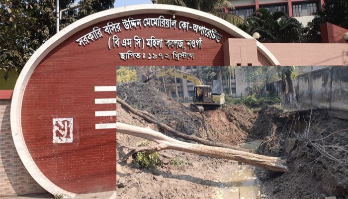 নওগাঁয় বিএমসি মহিলা কলেজে টেন্ডার ছাড়াই গাছ কর্তনের অভিযোগ