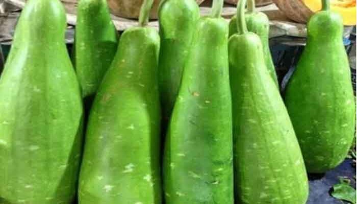 লাউ খান, সুস্থ থাকুন