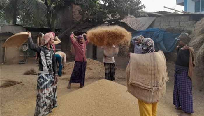 ধানের গোলা শূন্য, এখন বাড়ছে দাম