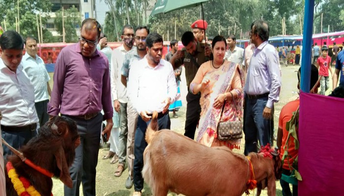পত্নীতলায় প্রাণিসম্পদ প্রদর্শনী মেলা অনুষ্ঠিত