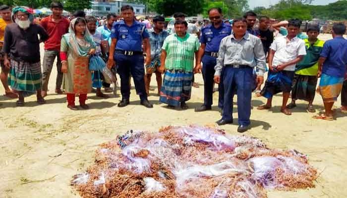 রাণীনগরে ১২হাজার মিটার নিষিদ্ধ কারেন্টজাল জব্দ করে ভস্মিভূত