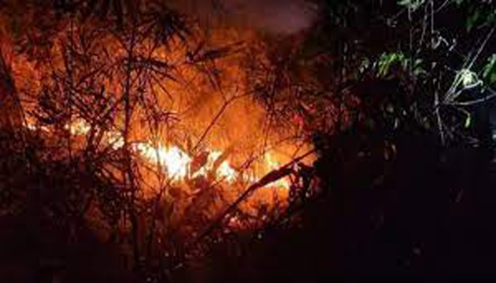 রাণীনগরে দুর্বৃত্তের আগুনে একরাতে পুড়ল ৬টি খড়ের পালা ! গরু নিয়ে বিপাকে কৃষক