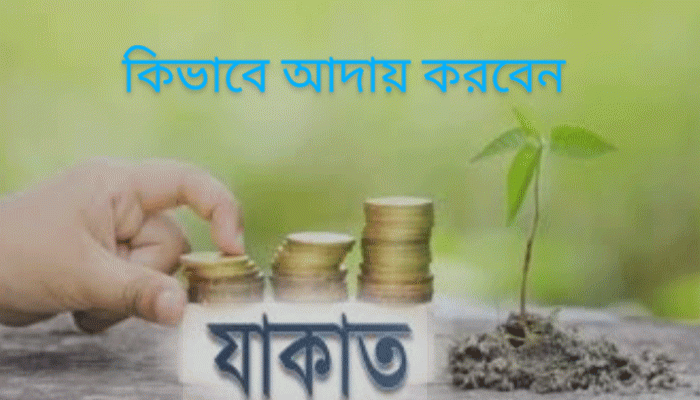 কিভাবে জাকাত আদায় করবেন