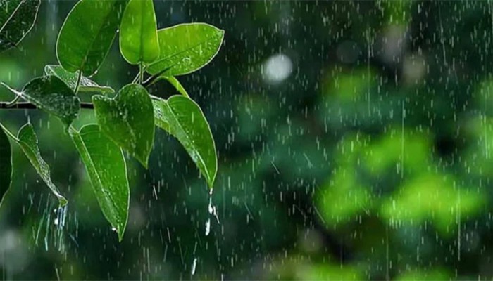টানা ৫ দিন যেসব জায়গায় ঝরতে পারে বৃষ্টি