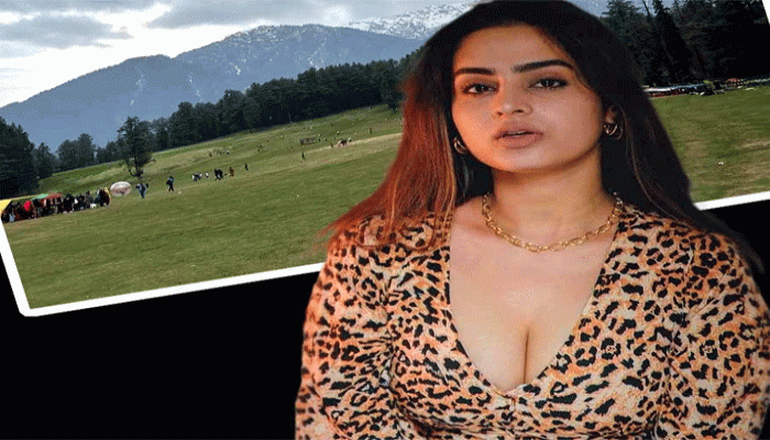 ‘কাশ্মীরে ভারতীয়রা স্বাগত নন’, মন্তব্যে সমর্থন আয়েশার!