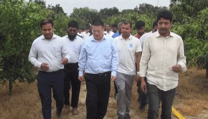 চাঁপাইনবাবগঞ্জের আমবাগান পরিদর্শন করলেন চীনা রাষ্ট্রদূত