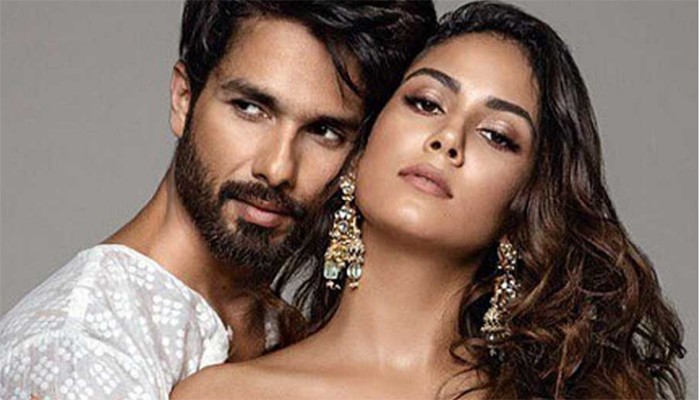 মীরা  শাহিদকে বিয়ে করে একেবারে একা হয়ে গিয়েছিলেন