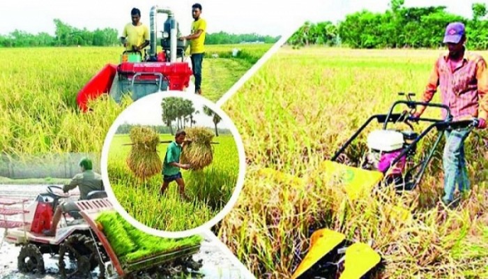 চর এলাকার কৃষি উন্নয়নে প্রকল্প অনুমোদন