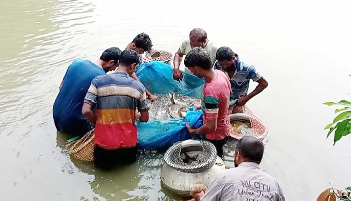 লালপুরে মাছ চাষে স্বাবলম্বী কাজী সামাদ