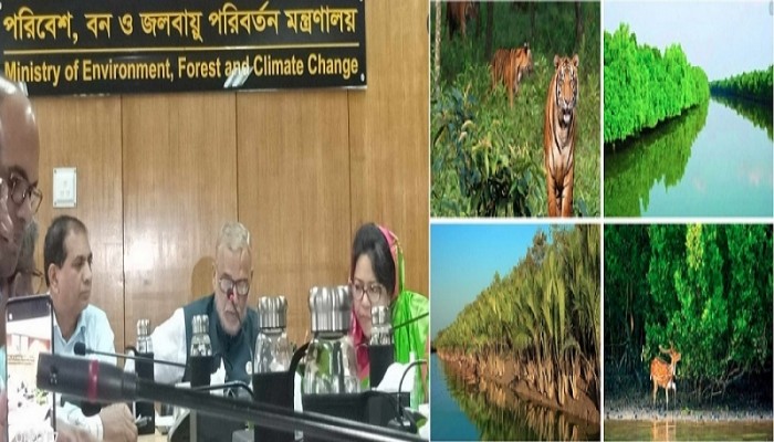 সুন্দরবনের উন্নয়নে প্রায় ২৯৬ কোটি টাকার প্রকল্প