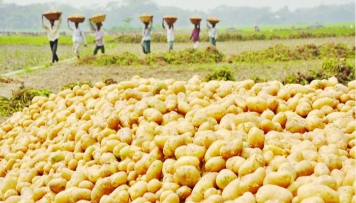 দুই দিনে ৫০ হাজার টন আলু আমদানির অনুমতি