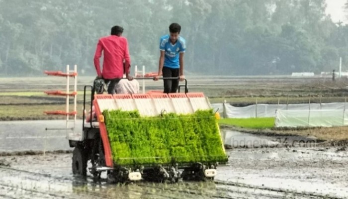 বোরোতে উফশী ধানের উৎপাদন বাড়াতে ১০৮ কোটি টাকার প্রণোদনা