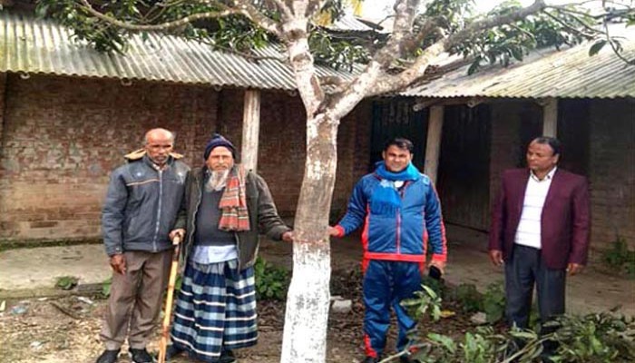 পুঠিয়ায় দোমাদী স্কুলে গাছ কেটেছে দূবৃত্তরা