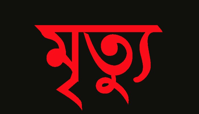 বাঘায় স্বামীর মৃত্যুর তিন ঘণ্টা পর স্ত্রীর মৃত্যু