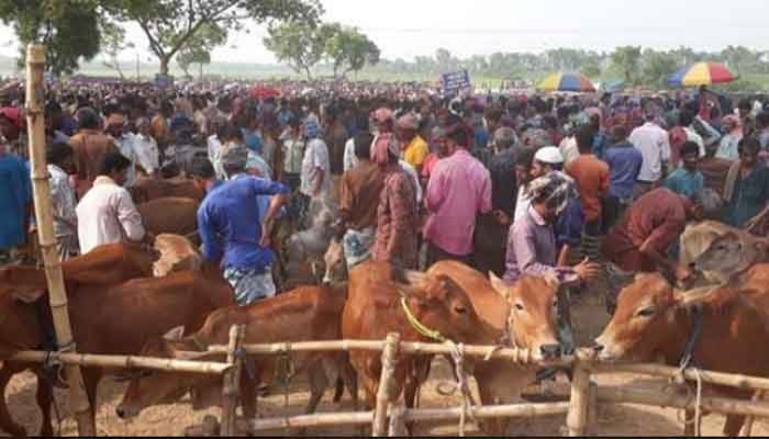 মান্দায় পশুরহাটে অতিরিক্ত টোল আদায়ের অভিযোগ