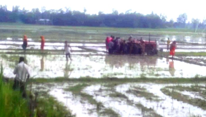 ঠাকুরগাঁওয়ে ট্রাক্টরের হালের ধারালো ফালে কাটা পড়ে কিশোরের মৃত্যু