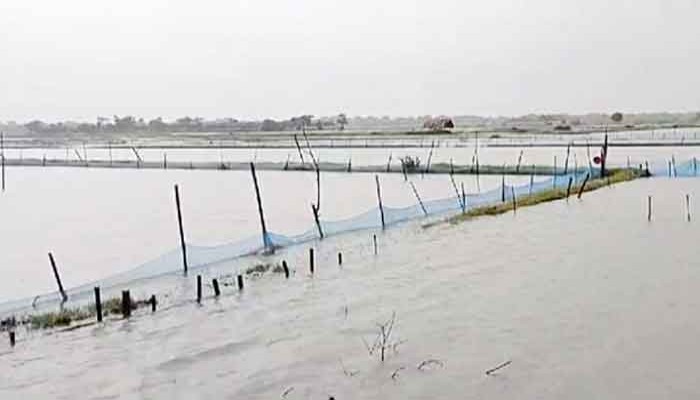 মোংলায় বন্যায় তলিয়ে গেছে ৭০০ চিংড়ি ঘের