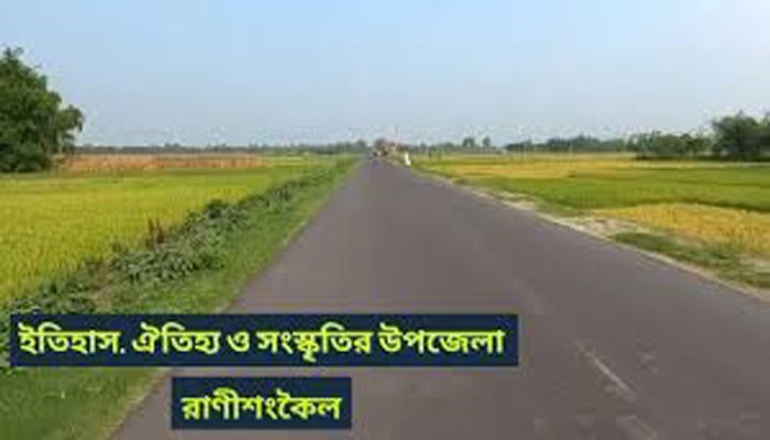 রাণীশংকৈলে সনার্তন ধর্মাবলম্বীদের সাথে জামায়াত ইসলামীর সম্প্রীতি সমাবেশ