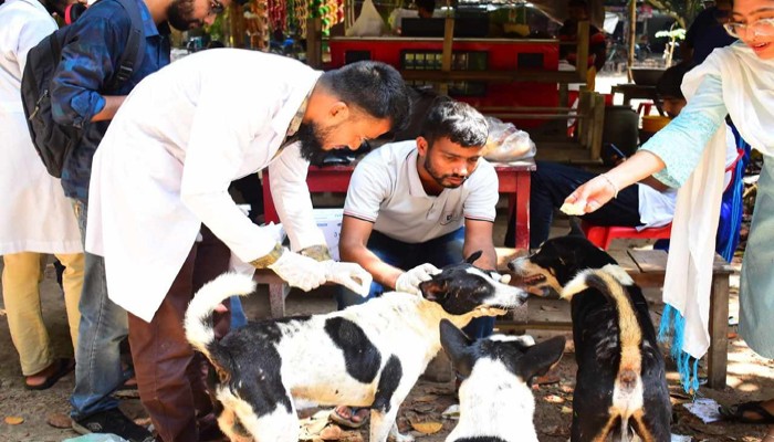 রাবি ক্যাম্পাসকে দেশের প্রথম র‍্যাবিসমুক্ত ক্যাম্পাস ঘোষণা