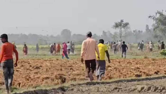 ঠাকুরগাঁওয়ে জমি দখল নিয়ে সংঘর্ষে আদিবাসি নিহত; আহত ২০