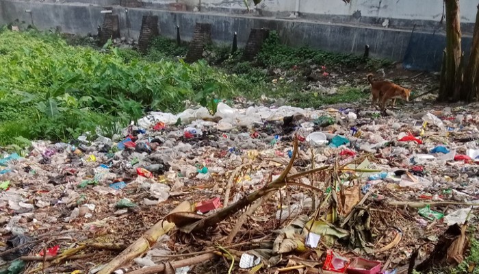 রাজশাহীর মোহনপুরে পরিবেশ দূষণে হুমকির মুখে এলাকাবাসী