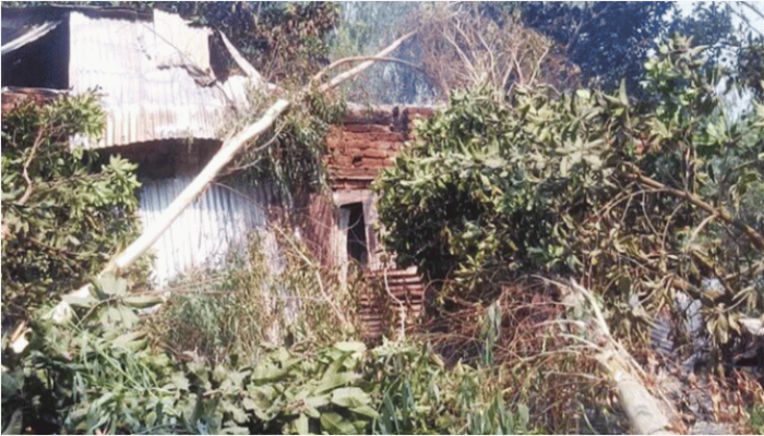 শিশুকে ধর্ষণের পর হত্যা, অভিযুক্তের বাড়িতে আগুন শিশুকে ধর্ষণের পর হত্যা, অভিযুক্তের বাড়িতে আগুন