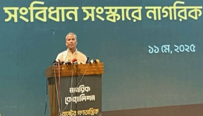 নতুন সংবিধান প্রণয়ন করতে অনেক সময় লাগবে: আসিফ নজরুল