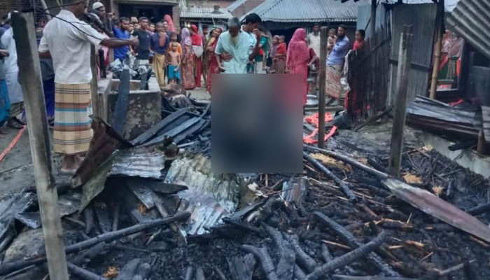 আগুনে পুড়ে ছাই কৃষকের ৪ গরু