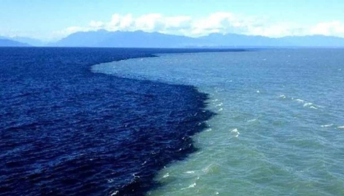 পূর্ব ফ্লোরিডা সাগরের পানি কখনও কোন জমি স্পর্শ করেনি