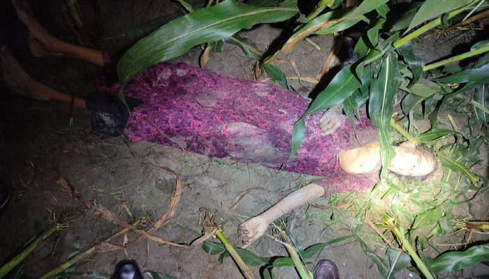 পুঠিয়ায় ভুট্টা ক্ষেত থেকে নারীর মরদেহ উদ্ধার