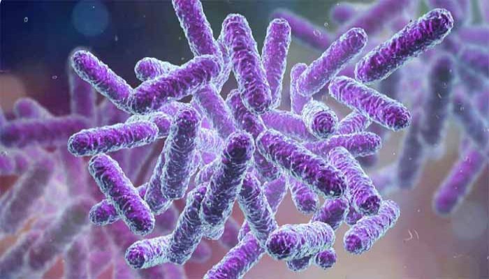 অক্সিজেন ছাড়াই বাঁচবে প্রাণ, পথ দেখাল ব্যাকটেরিয়া