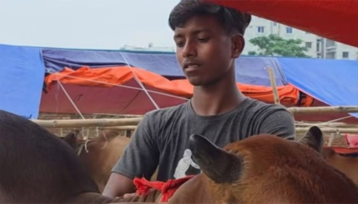 বাবার লাশ দাফন করেই পশুর হাটে আরিফুল, কারণ কী?