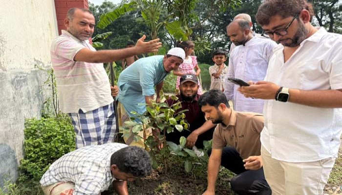 নান্দনিকতা ও পাখিদের খাদ্য চিন্তায় রেখে গাছ রোপণ নান্দনিকতা ও পাখিদের খাদ্য চিন্তায় রেখে গাছ রোপণ