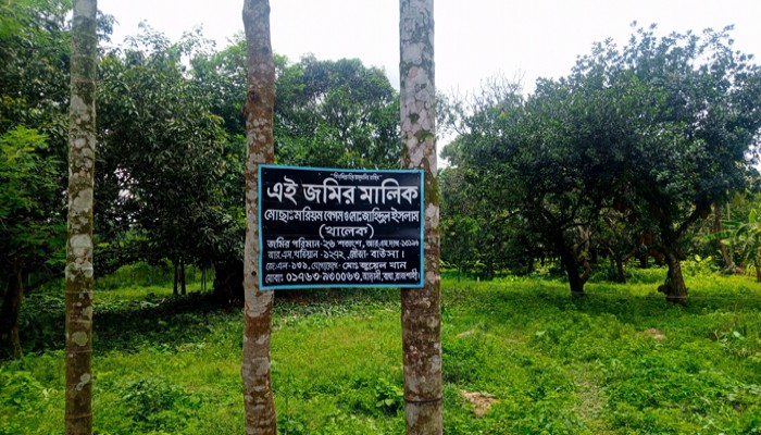 বাঘায় জোরপূর্বক জমি দখলের অভিযোগ