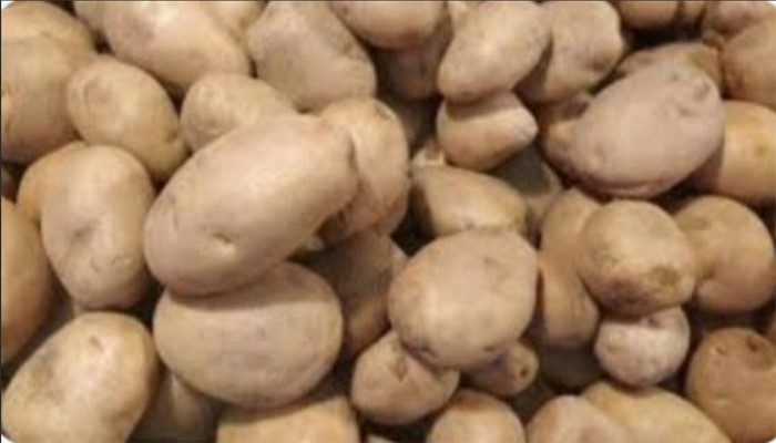 রাজশাহীর হিমাগারে কেজিপ্রতি আলুর ভাড়া সাড়ে ৫ টাকা