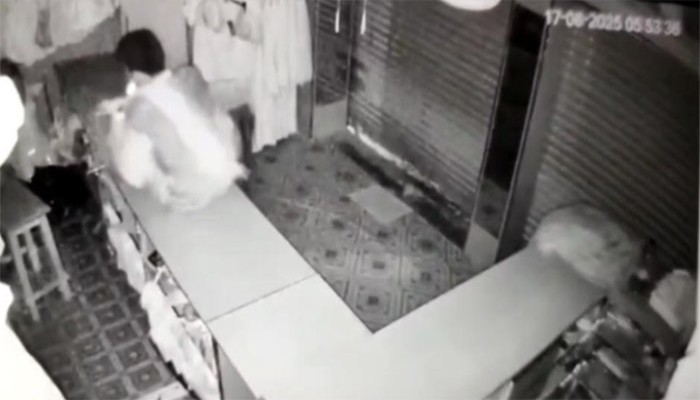 তানোরে অভিনব কায়দায় ৫ দোকানে চুরি, নগদ ৪ লাখ টাকা উধাও তানোরে অভিনব কায়দায় ৫ দোকানে চুরি, নগদ ৪ লাখ টাকা উধাও