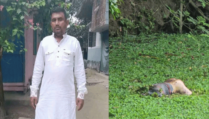 রহস্যজনক মৃত্যু.....নোয়াখালীতে নিখোঁজের ৩দিন পর যুবকের মরদেহ মিলল দীঘিতে রহস্যজনক মৃত্যু.....নোয়াখালীতে নিখোঁজের ৩দিন পর যুবকের মরদেহ মিলল দীঘিতে