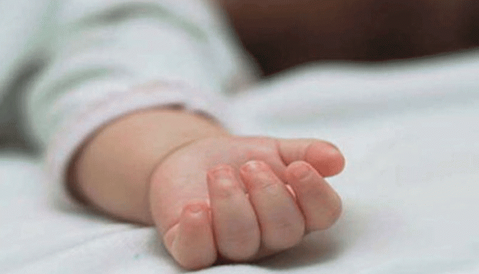 শ্রীপুরে ঝোপঝাড়ের ভেতর থেকে কাপড়ে মোড়ানো এক নবজাতককে উদ্ধার শ্রীপুরে ঝোপঝাড়ের ভেতর থেকে কাপড়ে মোড়ানো এক নবজাতককে উদ্ধার