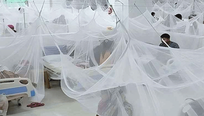 সারাদেশে ডেঙ্গুতে নতুন শনাক্ত ২০৪ জন