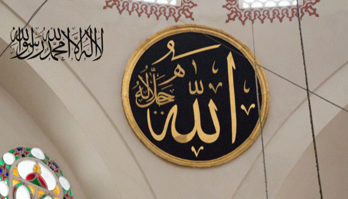 কোরআনে বর্ণিত যে ১০ শ্রেণির মানুষকে আল্লাহ অপছন্দ করেন